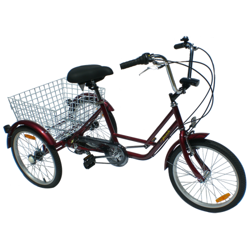 Tricycle - Location de vélos - La Palmyre - Ronce les bains - DriveCycles.fr Tricycle